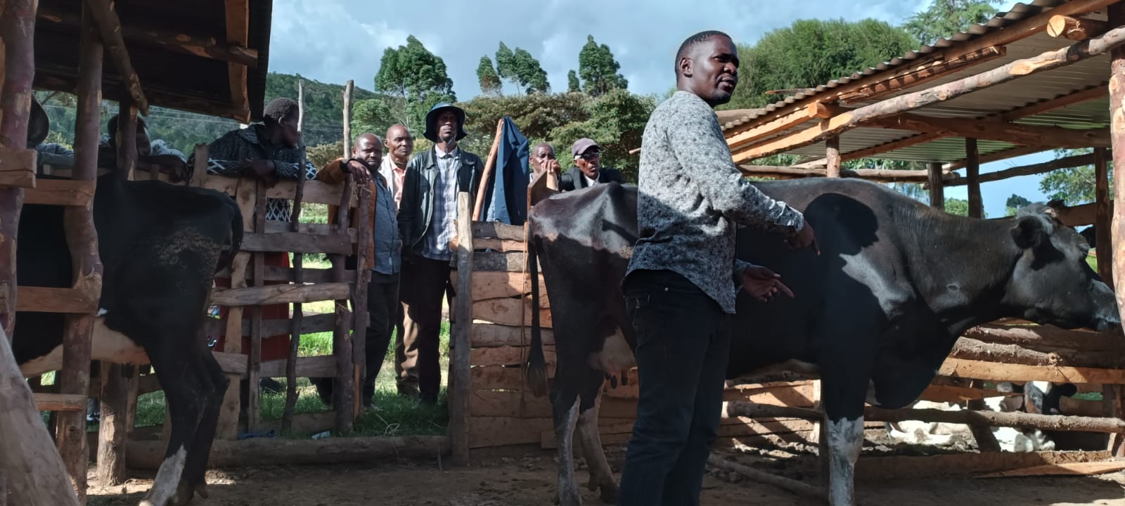 Home Demo farm, Mulot demo, Ilmotiok, Ngito, K2G, Narok, Kupanda