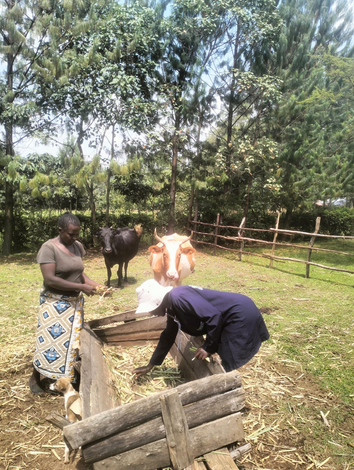 whatsapp image 2024 08 13 at 15.08.12