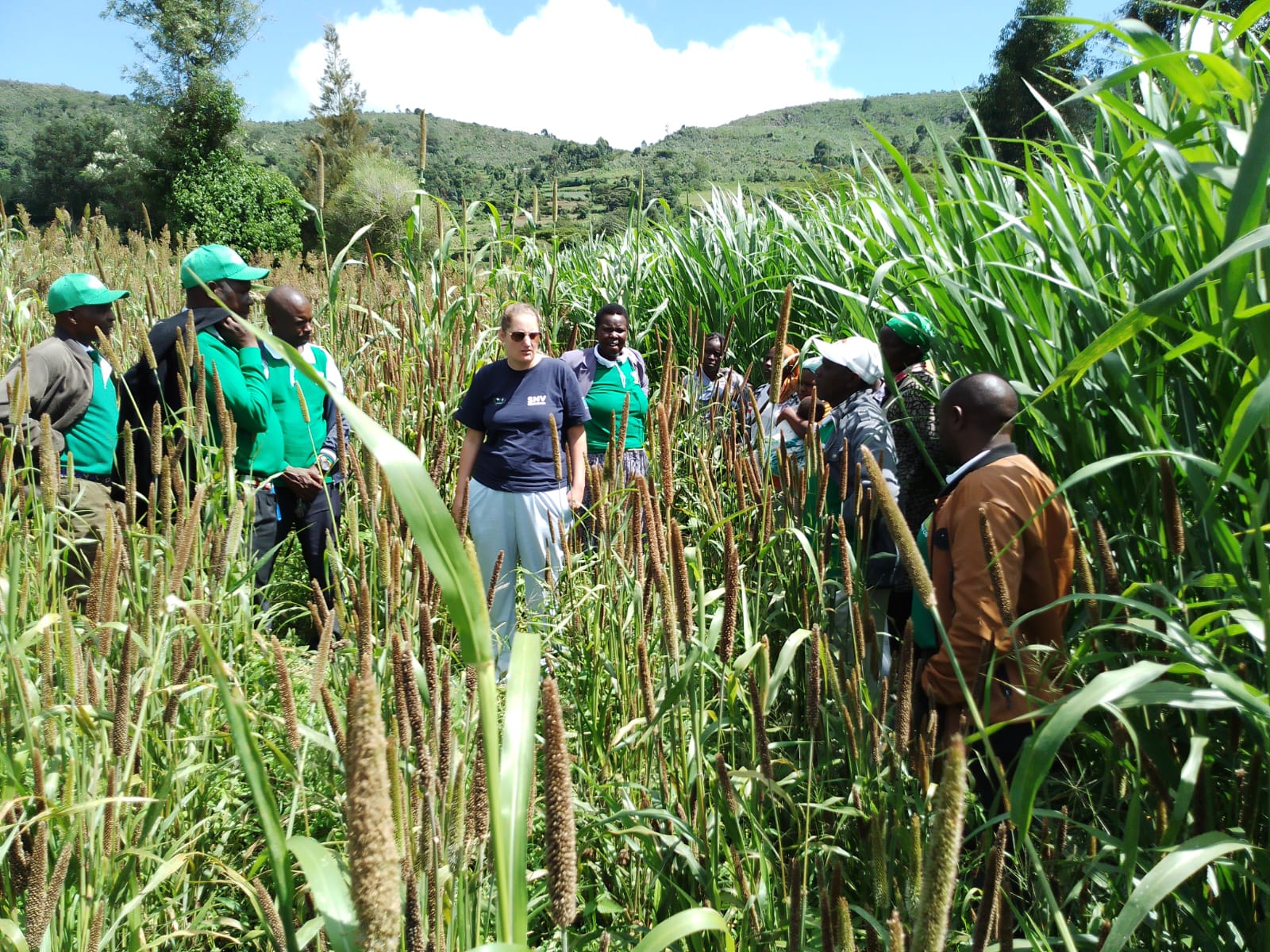 whatsapp image 2024 10 13 at 12.15.14