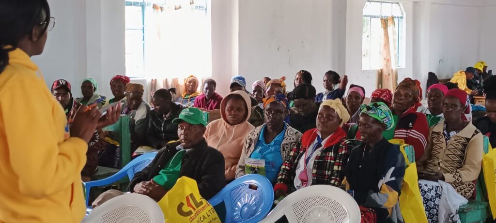 About Us whatsapp image 2024 10 13 at 16.56.47