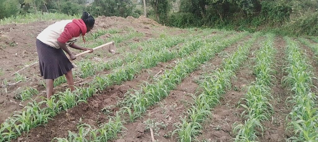 About Us whatsapp image 2025 01 07 at 12.46.18