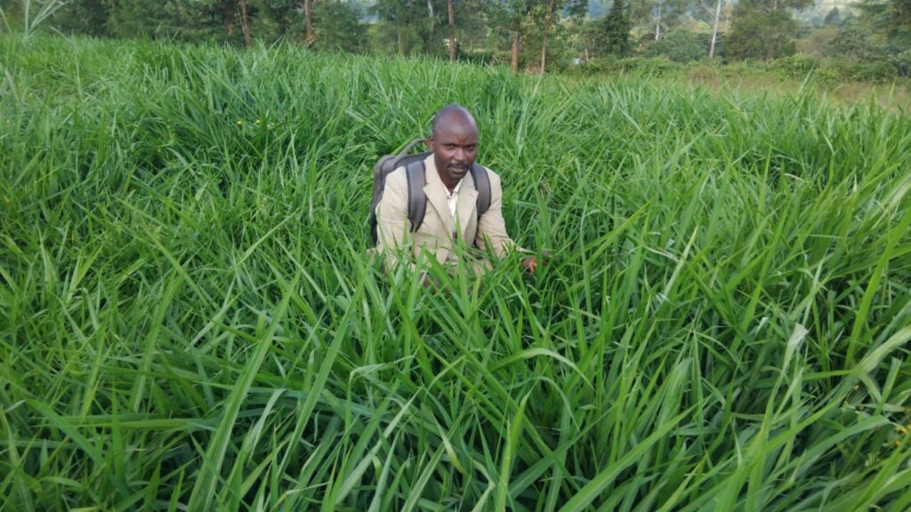 About Us Mulot CBO Ngito Fodder Establishment FA2T