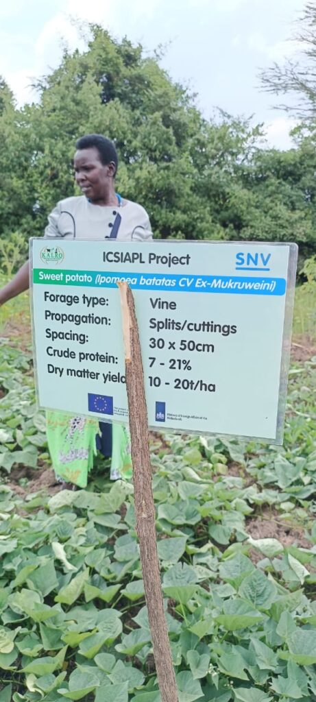 About Us whatsapp image 2025 04 07 at 16.35.14