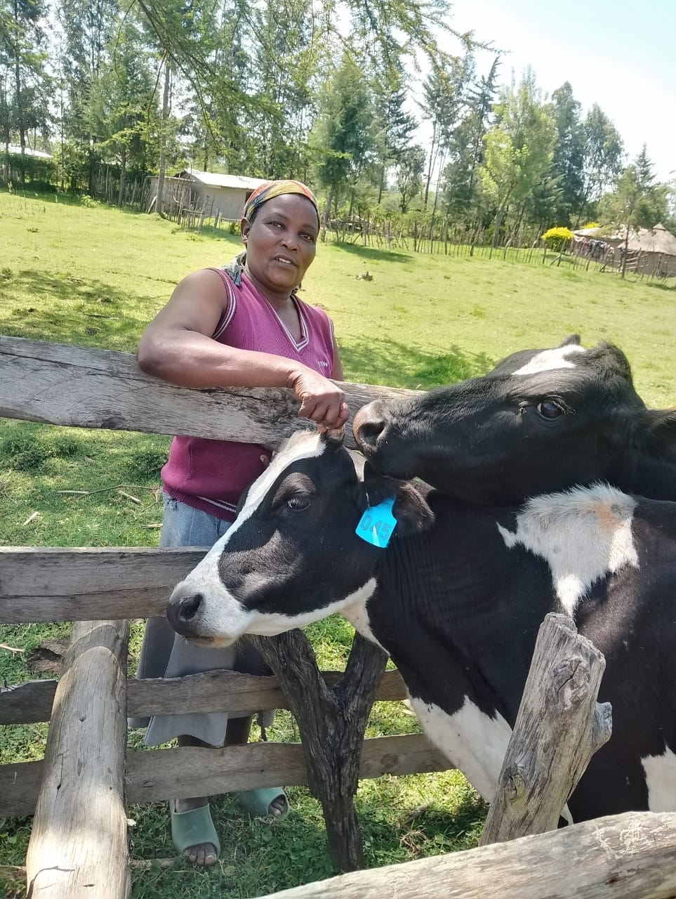 About Us whatsapp image 2025 06 16 at 20.39.43