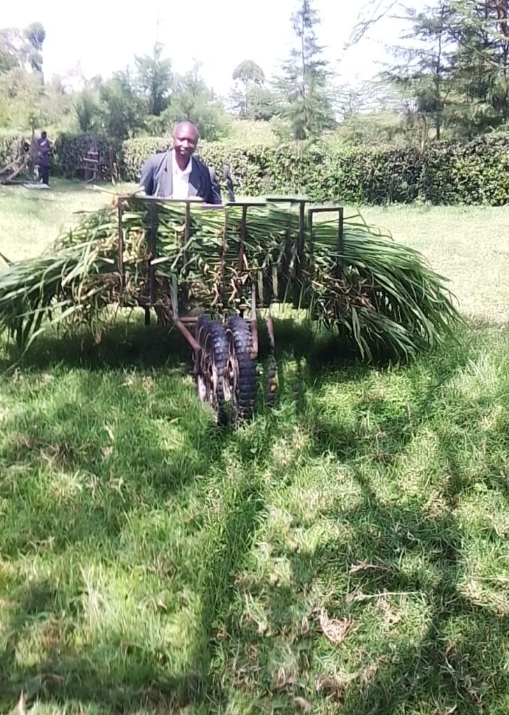 About Us whatsapp image 2025 07 02 at 15.22.04